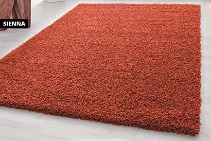 Colourful shaggy living room rug, 200 x 290 cm, Sienna