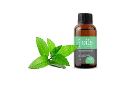 Peppermint Essential Oil 100% Pure
