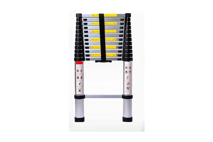 An Aluminium Extendable Telescopic Ladder, 4.6m