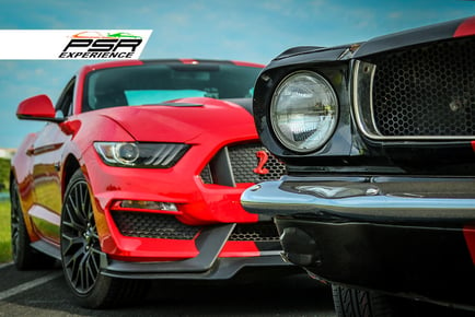 PSR Experience - Mustang Enthusiast Experience - 15 Locations