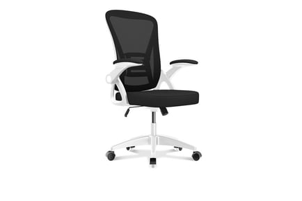 Office Chair with Lumbar Support in 6 Colours