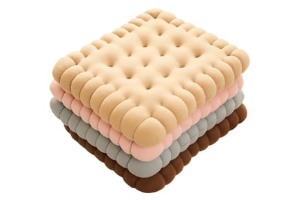 Biscuit Shaped Plush Pillow in 2 Shapes and 4 Colours