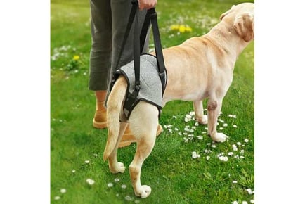 Adjustable Dog Back Legs Lift Harness
