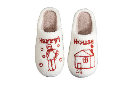 Harry Styles Inspired Fuzzy Comfy Slippers - 5 Sizes!