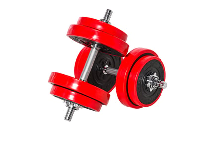 Adjustable Ergonomic 20kg Barbell & Dumbbell Fitness Set