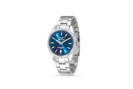 Men's Stainless Steel Sector Watch