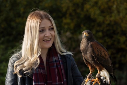 Bird of Prey Experience - Including Handling - 1 or 2 People - Half Term Availability