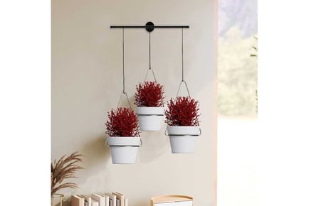 Detachable Triflora Hanging Planter Set