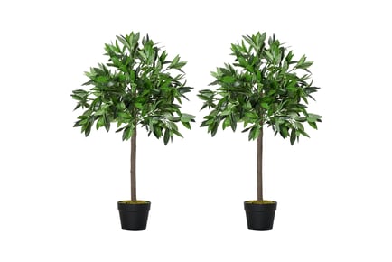 Artificial Potted Bay Laurel Trees - Topiary Ball - Set of 2!