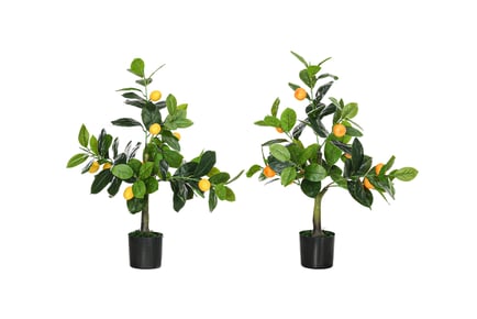Set Of 2 Artificial Lemon And Orange Trees