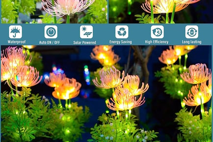 Solar Outdoor Lights with Glowing Flowers & Stems