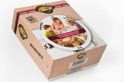 Cultivate Your Own Oyster Mushroom Paradise Kit