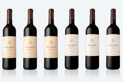 6 Bottle Case of Spanish Red Wine