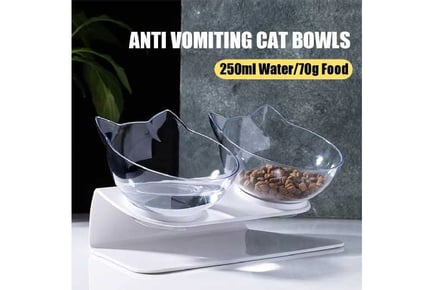 Anti-Vomiting Cat Bowl