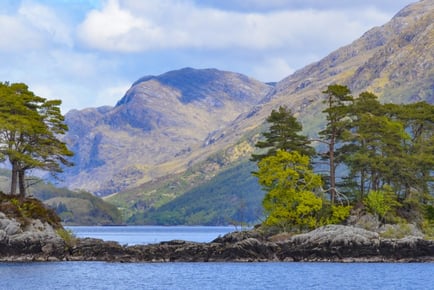 £8 for kids and £12 for adults for a 1hr tour on Loch Shiel. Prince's Bay tour showing off Harry Potter film locations, local wildlife and steam trains on bridge. Upgrade options for 2.5hrs Gaskan Tour