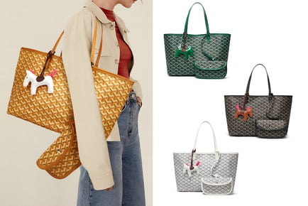 Women's Goyard Inspired 2-in-1 Tote Bag, Green