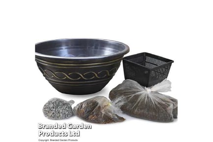 Water Lily Trio Pond Basket + Pot Kit