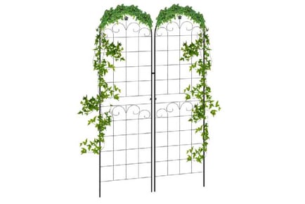 Metal Trellis Set of 2, Garden Trellis