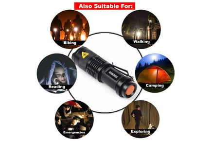 Mini Tactical Torch & Flashlight