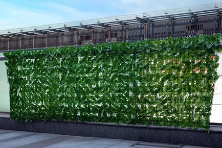 Artificial Ivy Hedge Privacy Screen x 3, 0.5m x 3m