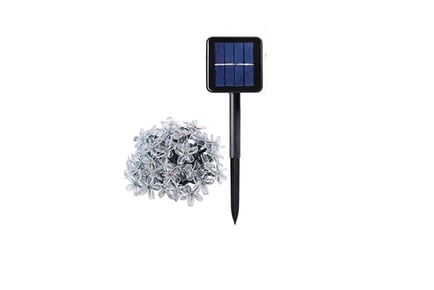 Solar Powered LED String Lights with Flowers in 3 Options and 5 Colours