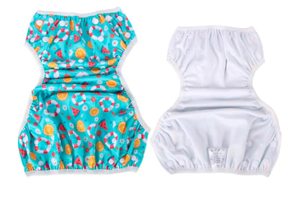 2-in-1 Swim Diaper & Potty Training Pants - 8 Styles, 2 Pack Options