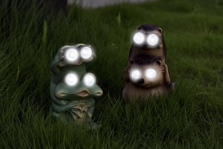 Waterproof Solar Garden Light - Frog or Hedgehog