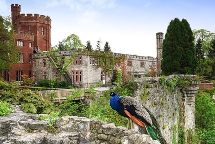 Afternoon Tea for 2 at 4* Ruthin Castle Hotel & Spa