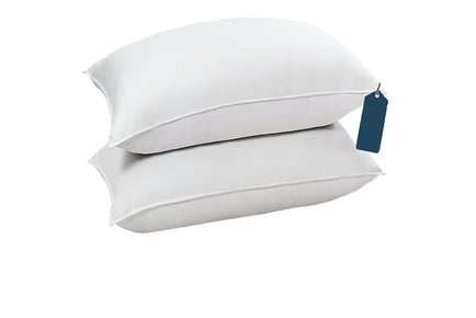 Extra Soft Hotel Quality Pillows in 2 Options