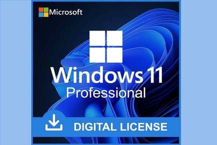 Windows 11 Professional