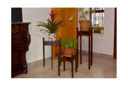 Flora Handmade Wooden Plant Stand Set