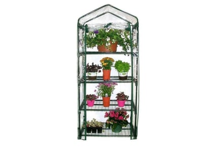 4-Tier Clear Plant Greenhouse