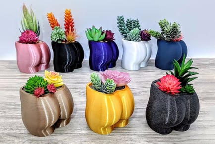3D Printed & Hand Painted Booty Shaped Planter in 7 Colours