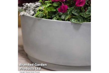 Concrete Effect Bowl Planter