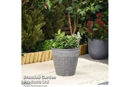 Lead Effect Planters