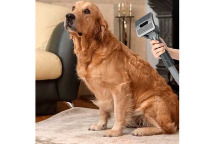 Pet Grooming Vacuum Brush Kit for Dyson