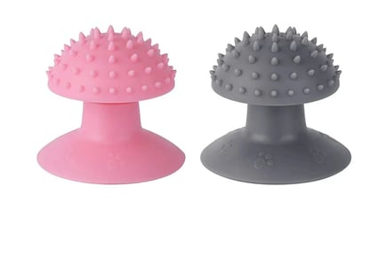 Massage Brush w/ Suction Cup for Cats & Dogs - 3 Colours