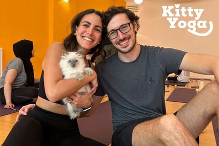 Kitty Yoga Experience for One - 2 London Locations