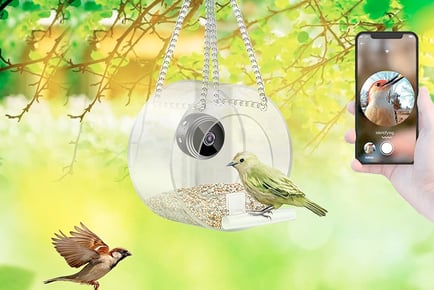 Bird Feeder With Smart Camera - 3 Styles
