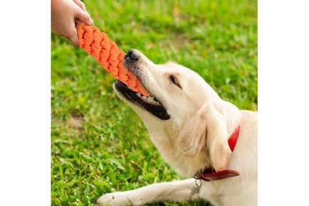 10Pcs Pet Chew Bite Toy Set