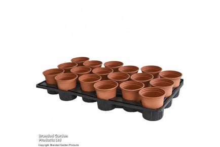 Shuttle Trays & Pots