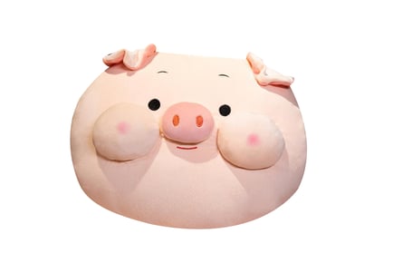 2-in-1 Novelty Pink Pig Pillow Blanket in 2 Sizes and 3 Designs