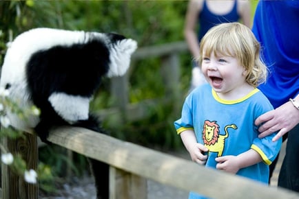 Howletts Wild Animal Park Entry Ticket For 2 With Adoption Pack - Kent! School Summer Holiday Availability