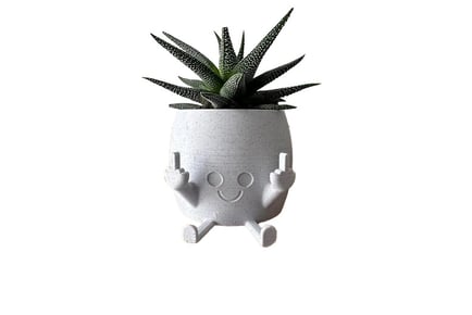 Middle Finger Smiling Plant Pot - White, Grey, Gold or Multicolour