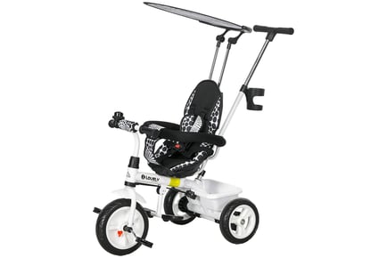 Multifunctional Tricycle for Kids with Canopy - 2 Colours