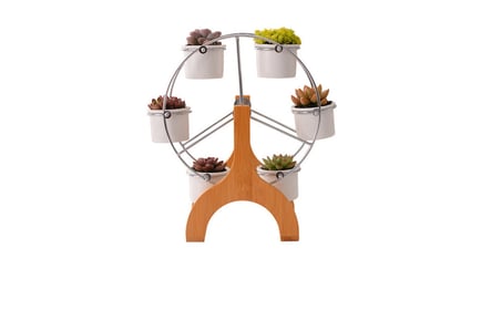 Decorative Indoor Ferris Wheel of 6 Succulent Plant Pots!