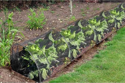 3M Plant Grow Tunnel Net