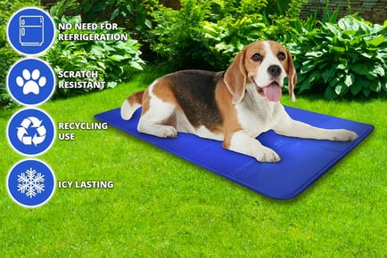 30cm x 40cm Cool Gel Mat for Pets - Pack of 1, 2 or 4