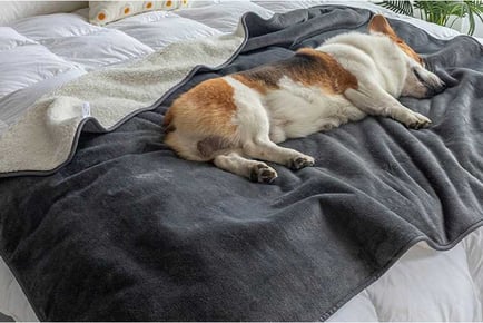 Water-Resistant Pet Couch Bed Blanket