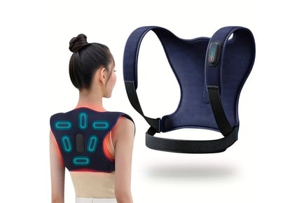 2in1 Back Support and Massager